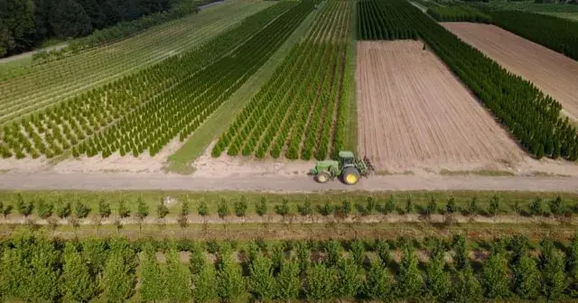 Tidbury Creek Farms & Nursery aerial view of farmland with tractor.