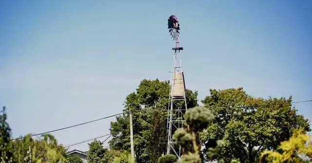 Tidbury Creek Farms & Nursery windmill amidst green trees and blue sky.
