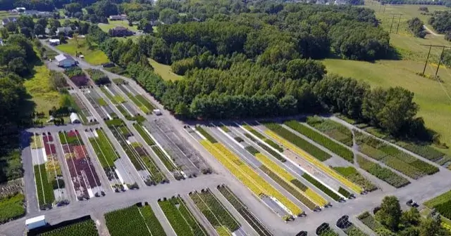 Tidbury Creek Farms & Nursery aerial view of plant nursery with greenhouses.
