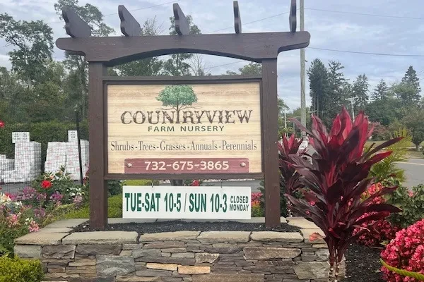 Sign for Countryview Farm Nursery with hours and phone number, surrounded by vibrant plants and flowers, set against a cloudy sky backdrop.