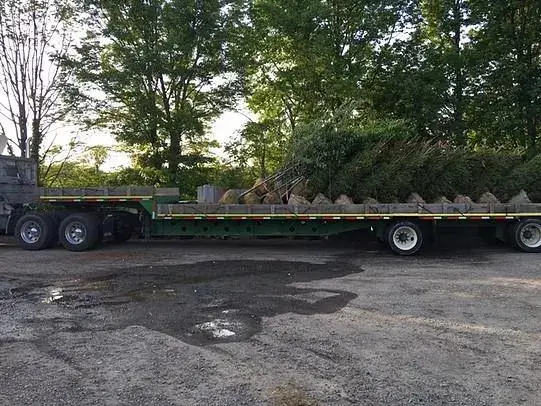 Tidbury Creek Farm's flatbed truck transporting trees on a road.