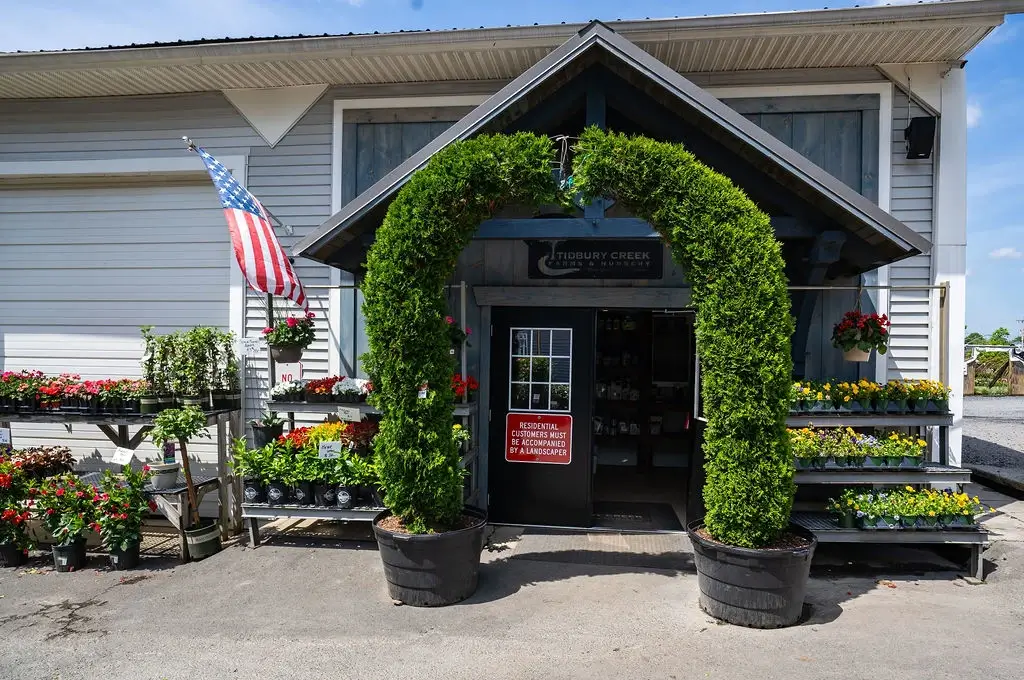 Entrance to Tidbury Creek plant nursery with American flag.