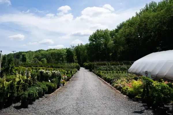 Garden Nursery